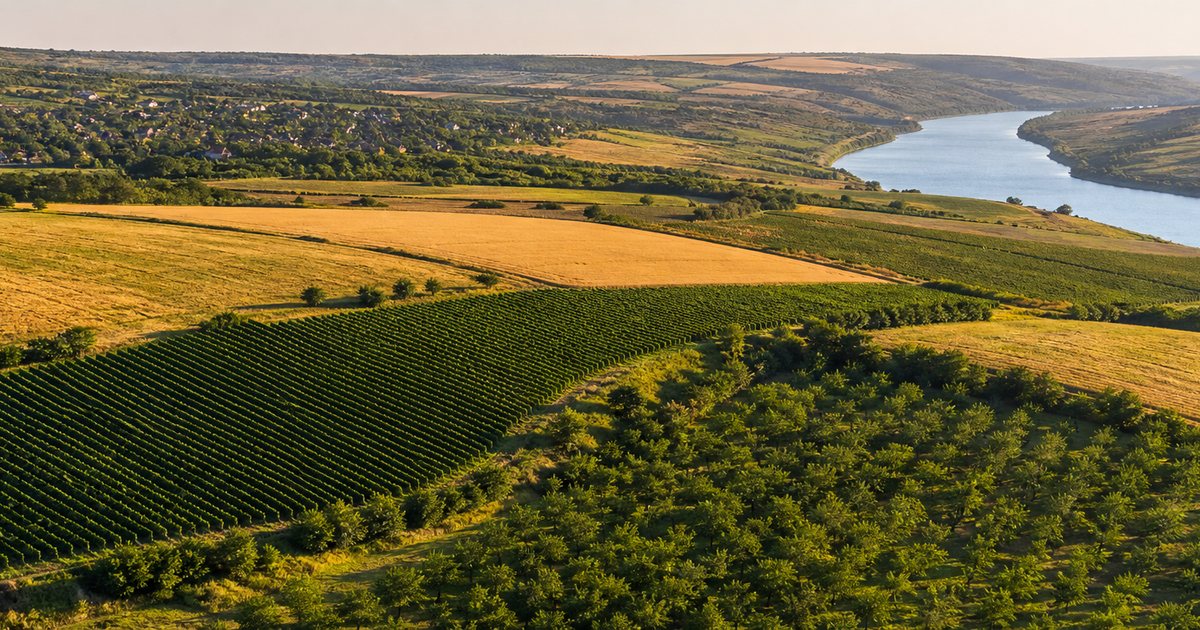 Peisaj agricol din Moldova cu vii, livezi, campuri si apa